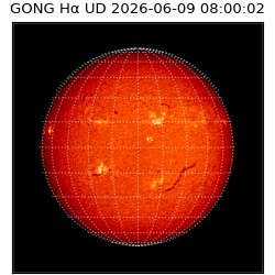 gong - 2026-06-09T08:00:02
