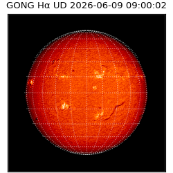 gong - 2026-06-09T09:00:02