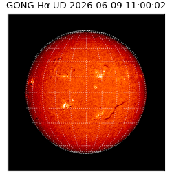 gong - 2026-06-09T11:00:02