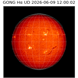 gong - 2026-06-09T12:00:02