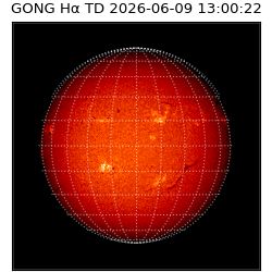 gong - 2026-06-09T13:00:22