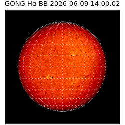 gong - 2026-06-09T14:00:02