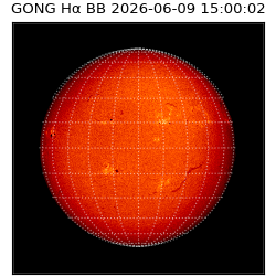 gong - 2026-06-09T15:00:02