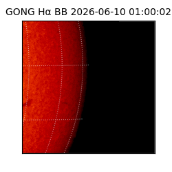 gong - 2026-06-10T01:00:02