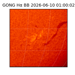 gong - 2026-06-10T01:00:02