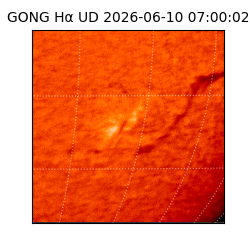 gong - 2026-06-10T07:00:02