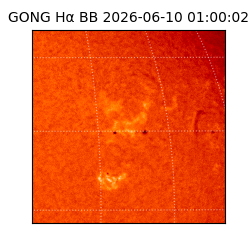 gong - 2026-06-10T01:00:02