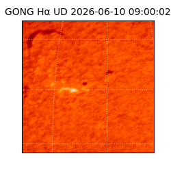gong - 2026-06-10T09:00:02