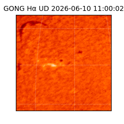 gong - 2026-06-10T11:00:02