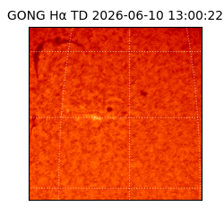 gong - 2026-06-10T13:00:22
