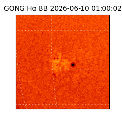 gong - 2026-06-10T01:00:02