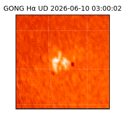 gong - 2026-06-10T03:00:02