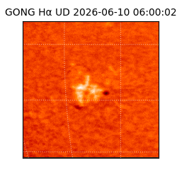 gong - 2026-06-10T06:00:02