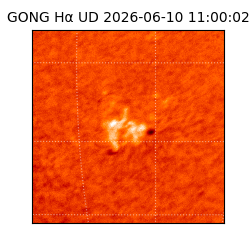 gong - 2026-06-10T11:00:02