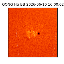 gong - 2026-06-10T16:00:02