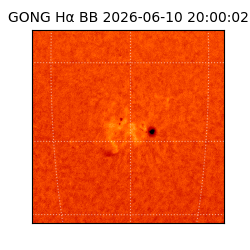 gong - 2026-06-10T20:00:02