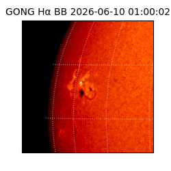 gong - 2026-06-10T01:00:02