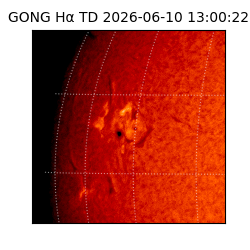 gong - 2026-06-10T13:00:22