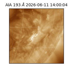 saia - 2026-06-11T14:00:04.842000
