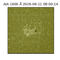 saia - 2026-06-11T08:00:14.123000