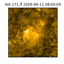 saia - 2026-06-11T08:00:09.349000