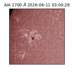 saia - 2026-06-11T03:00:28.716000
