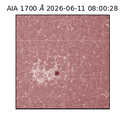 saia - 2026-06-11T08:00:28.717000