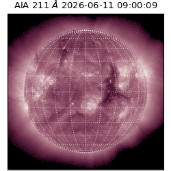 saia - 2026-06-11T09:00:09.631000