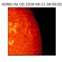 gong - 2026-06-11T08:00:02