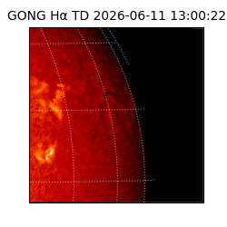 gong - 2026-06-11T13:00:22
