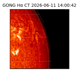 gong - 2026-06-11T14:00:42