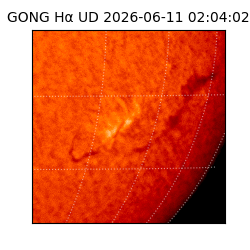 gong - 2026-06-11T02:04:02