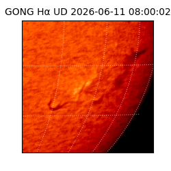 gong - 2026-06-11T08:00:02