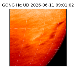 gong - 2026-06-11T09:01:02