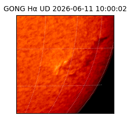 gong - 2026-06-11T10:00:02