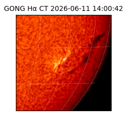 gong - 2026-06-11T14:00:42
