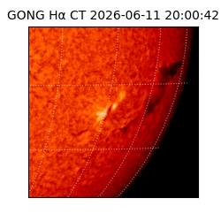 gong - 2026-06-11T20:00:42
