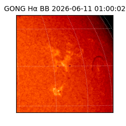 gong - 2026-06-11T01:00:02