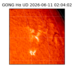 gong - 2026-06-11T02:04:02