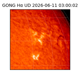 gong - 2026-06-11T03:00:02