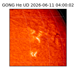 gong - 2026-06-11T04:00:02