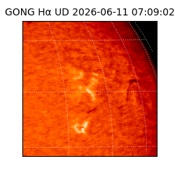 gong - 2026-06-11T07:09:02
