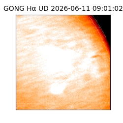 gong - 2026-06-11T09:01:02