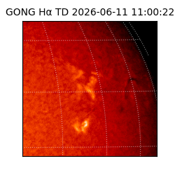 gong - 2026-06-11T11:00:22