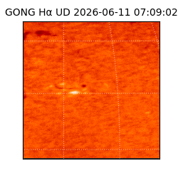 gong - 2026-06-11T07:09:02