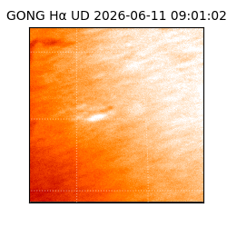 gong - 2026-06-11T09:01:02