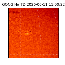 gong - 2026-06-11T11:00:22