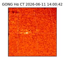 gong - 2026-06-11T14:00:42