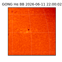 gong - 2026-06-11T22:00:02