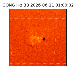 gong - 2026-06-11T01:00:02